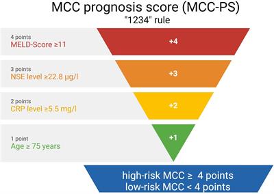 Introducing MCC-PS: a novel prognostic score for Merkel cell carcinoma